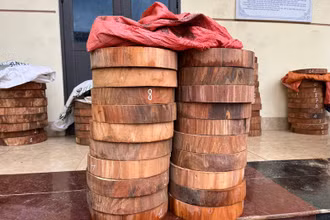 Số lóng gỗ nghiến do Công an huyện Tủa Chùa thu giữ từ các đối tượng.
