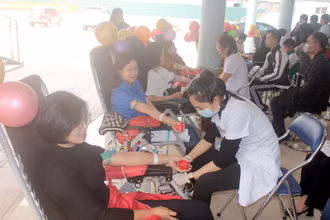 Cán bộ, đoàn viên thanh niên tỉnh Điện Biên tình nguyện hiến máu tại Lễ hội xuân hồng năm 2024.