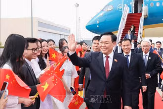 Cán bộ, nhân viên Đại sứ quán và đại diện cộng đồng người Việt Nam đón Chủ tịch Quốc hội Vương Đình Huệ tại sân bay quốc tế Bắc Kinh. (Ảnh: Nhan Sáng/TTXVN)