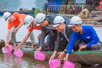 Thả cá giống xuống hồ chứa nước Thủy điện Đak Mi 4