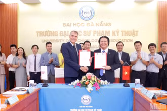 Trung tâm Hướng nghiệp Pháp ngữ (CEF) thuộc Tổ chức Đại học Pháp ngữ (AUF) được đặt tại Trường Đại học Sư phạm Kỹ thuật Đà Nẵng (Đại học Đà Nẵng).