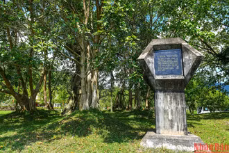 Dưới gốc đa Tân Trào, chiều ngày 16/8/1945, Đại tướng Võ Nguyễn Giáp đã đọc bản Quân lệnh số 1, ngay sau đó quân Việt Nam Giải phóng đã làm lễ xuất quân tiến về giải phóng Thủ đô Hà Nội trước sự chứng kiến của toàn thể đồng bào các dân tộc Việt Bắc và 60 đại biểu toàn quốc. Từ đó cho đến nay, cây đa Tân Trào đã trở thành một biểu tượng cách mạng của Thủ đô Khu giải phóng Tuyên Quang.
