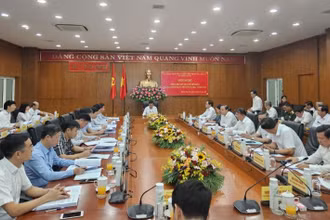 Toàn cảnh Hội nghị.