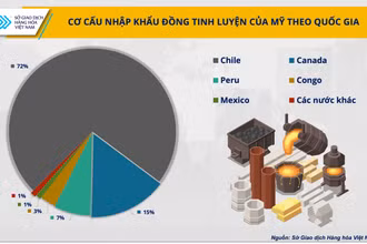 Cơ cấu Nhập khẩu đồng tinh luyện của Mỹ chia theo quốc gia.