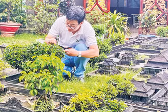 Anh Nguyễn Thanh Tùng chăm chút từng góc nhỏ trong công trình “Cố đô Huế thu nhỏ”.