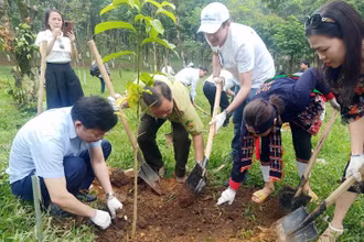Trồng rừng phòng hộ tại Vườn quốc gia Cúc Phương (Ninh Bình).