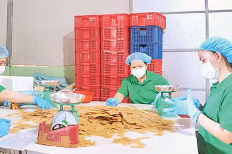 Sản phẩm bánh phồng tôm tại Công ty cổ phần xuất nhập khẩu Vĩnh Hòa Phát.