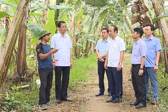 Cán bộ và người dân xã Vĩnh Chân, huyện Hạ Hòa trao đổi kinh nghiệm liên kết sản xuất, tiêu thụ chuối.