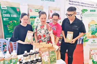 Công ty TNHH Ba Lành trưng bày sản phẩm nông nghiệp hữu cơ tại lễ phát động hưởng ứng Ngày hữu cơ Việt Nam 19/9.