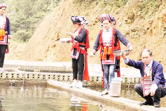 Ông Triệu Chàn Loàng, người đầu tiên đưa cá tầm về nuôi ở thôn Nậm An, xã Tân Thành, huyện Bắc Quang (Hà Giang).