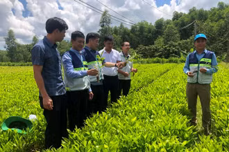 Giám đốc Trung tâm Khuyến nông quốc gia Lê Quốc Thanh tham quan mô hình vườn ươm cây lâm nghiệp tại xã Vĩnh Hà, huyện Vĩnh Linh (Quảng Trị).