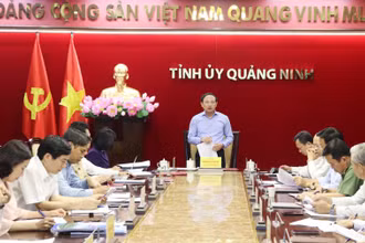 Ban Thường vụ Tỉnh ủy Quảng Ninh họp xem xét, thi hành kỷ luật đối với cán bộ, đảng viên vi phạm.