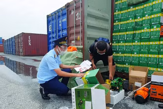 Hải quan Hải phòng kiểm tra thực tế hàng hoá (Ảnh: Nguyễn Lê)