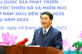 Bộ trưởng, Chủ nhiệm Ủy ban Dân tộc Hầu A Lềnh phát biểu tại Hội nghị.