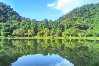 Vườn quốc gia Cúc Phương.