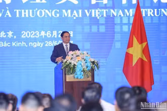 Thủ tướng Phạm Minh Chính phát biểu ý kiến tại Diễn đàn.