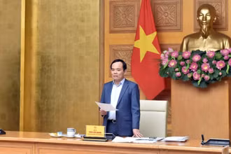 Phó Thủ tướng Trần Lưu Quang phát biểu tại cuộc họp. (Ảnh: VGP)