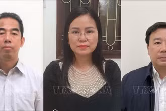 Các bị cáo (từ trái qua): Tô Anh Dũng, Nguyễn Thị Hương Lan, Chử Xuân Dũng. (Ảnh: TTXVN)