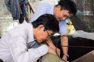 Cán bộ Trung tâm Kiểm soát bệnh tật Đồng Nai giám sát, xử lý ổ dịch sốt xuất huyết tại huyện Tân Phú.