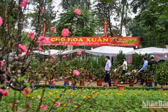 Một chợ hoa xuân tại Hà Nội. (Ảnh: THÀNH ĐẠT)