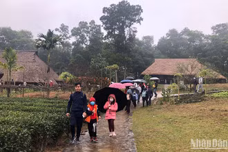 Du khách tham quan Làng Văn hóa-Du lịch các dân tộc Việt Nam.