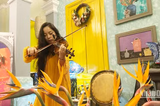 Trịnh Minh Hiền ngẫu hứng trong bản "Mùa hè" của Vivaldi.