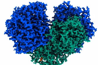Australia phát hiện enzyme có thể biến không khí thành điện