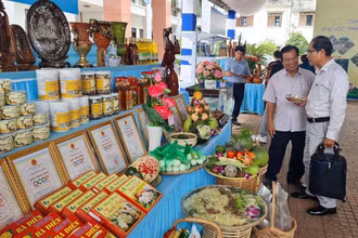 Các đại biểu tham quan các gian hàng trưng bày tại Hội nghị “Giải pháp phát triển du lịch 4 địa phương khu vực phía bắc tỉnh: Hoài Nhơn, Hoài Ân, Phù Mỹ, An Lão”.