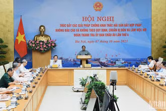 Quang cảnh Hội nghị. (Ảnh: TRẦN HẢI)