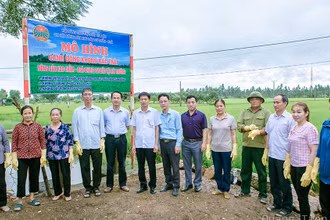 Để bảo vệ môi trường, phong trào cánh đồng không rác thải được nông dân toàn huyện hưởng ứng. (Ảnh: MINH ANH)