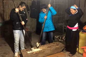 Du khách trải nghiệm giã bánh dày ở Bản Liền (Bắc Hà, Lào Cai).