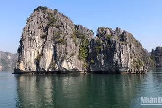 Quần đảo Cát Bà.