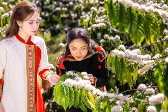 Lễ hội Cà-phê Buôn Ma Thuột góp phần nâng tầm giá trị cà-phê Việt. (Ảnh: Ban tổ chức)