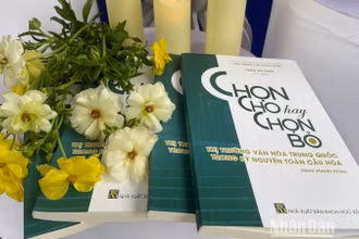 Cuốn sách “Chọn cho hay chọn bỏ - Thị trường văn hóa Trung Quốc trong kỷ nguyên toàn cầu hóa”. (Ảnh: HUY LÊ)