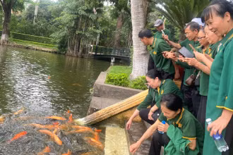 Du khách tham quan ao cá Bác Hồ. 
