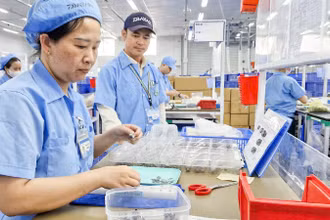 Công nhân tại Công ty TNHH Daiwa Việt Nam, Khu công nghiệp Hòa Khánh, Đà Nẵng. (Ảnh CÔNG VINH)