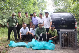 Lực lượng chức năng tổ chức thả các cá thể động vật hoang dã, quý hiếm về với tự nhiên.