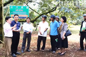 Nền kinh tế tỉnh Đắk Lắk chủ yếu đưa vào nông nghiệp nên việc phát triển nông nghiệp tuần hoàn là yêu cầu thực tiễn cấp bách và phù hợp xu thế hiện nay.