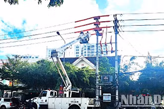 Điện lực Nam Buôn Ma Thuột lắp đặt Trạm biến áp 250kVA-22/04kV phục vụ các sự kiện, hoạt động kỷ niệm 120 năm Ngày thành lập tỉnh Đắk Lắk. 