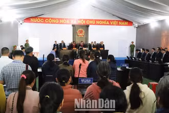 Khai mạc phiên tòa lưu động xét xử sơ thẩm công khai vụ án “Khủng bố nhằm chống chính quyền nhân dân; Khủng bố; Tổ chức cho người khác xuất cảnh, nhập cảnh trái phép; Che giấu tội phạm” xảy ra vào đêm 10, rạng sáng 11/6/2023 tại huyện Cư Kuin, tỉnh Đắk Lắk. 