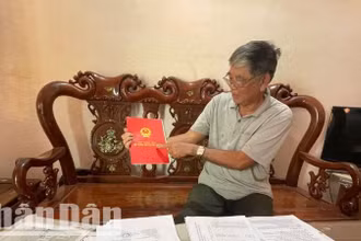 Hiện nay, ông Đinh Xuân Tửu vẫn giữ Giấy chứng nhận quyền sử dụng đất thửa đất 227b, nhưng Ủy ban nhân dân huyện Ea Súp đã cấp đất tái định cư và Giấy chứng nhận quyền sử dụng đất cho 4 hộ dân khác chồng lên thửa đất 227b.