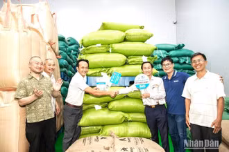 Các đơn vị tham gia đấu giá trong cuộc đấu giá cà-phê đặc sản đầu tiên tại Việt Nam năm 2023.