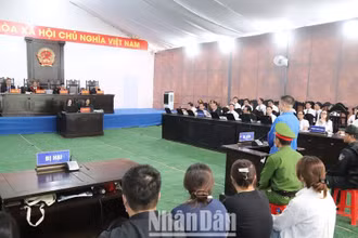 Hội đồng xét xử thẩm vấn, xét xử các bị cáo tại phiên tòa.