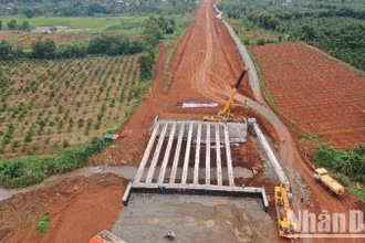 Lắp dầm cầu I33 cầu Ea Knuếc 3 bao gồm 11 phiến dầm với khối lượng kỹ thuật 1 phiến dầm là 60 tấn, được TNE&C vận chuyển từ bãi đúc đến vị trí và lắp đặt.