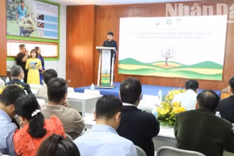 Quang cảnh Lễ khởi động Dự án xây dựng mô hình sử dụng phân bón hữu cơ trong sản xuất sầu riêng bền vững tại tỉnh Đắk Lắk.