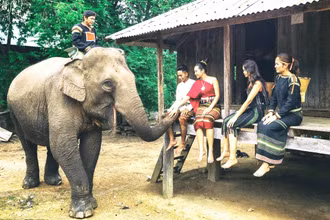 Du lịch thân thiện với voi, góp phần bảo tồn đàn voi nhà ở Đắk Lắk là hết sức cần thiết và cấp bách, nhưng việc chuyển đổi mô hình từ du lịch cưỡi voi sang du lịch thân thiện với voi còn chậm. (Ảnh: CTV)