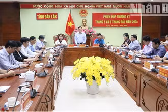 Phó Chủ tịch Thường trực Ủy ban nhân dân tỉnh Đắk Lắk Nguyễn Tuấn Hà đề nghị các sở, ngành, đơn vị, địa phương tập trung thực hiện các nhiệm vụ, giải pháp phấn đấu hoàn thành cao nhất các chỉ tiêu, nhiệm vụ năm 2024.