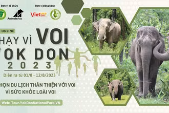 Giải online “Chạy vì loài voi Yok Đôn” lần 2 năm 2023 nhằm nâng cao nhận thức của cộng đồng biết đến “Ngày voi thế giới”. 