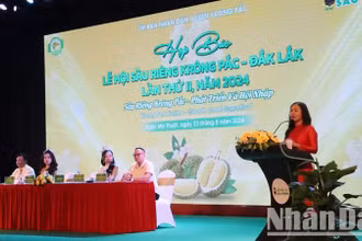 Phó chủ tịch Ủy ban nhân dân huyện Krông Pắc Ngô Thị Minh Trinh thông tin về Lễ hội Sầu riêng Krông Pắc lần thứ 2 - năm 2024 tại buổi họp báo. 