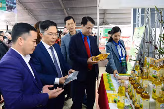 Đại biểu tham quan các gian hàng tham gia Hội chợ thương mại Festival hoa Đà Lạt và nông sản thanh niên toàn quốc.